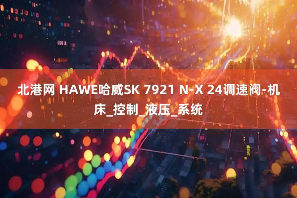 北港网 HAWE哈威SK 7921 N-X 24调速阀-机床_控制_液压_系统