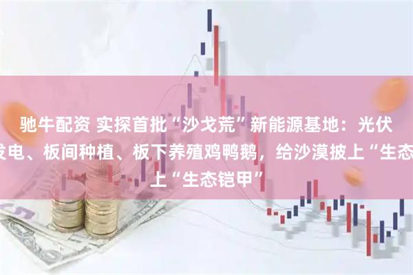 驰牛配资 实探首批“沙戈荒”新能源基地:光伏板上发电、板间种植、板下养殖鸡鸭鹅,给沙漠披上“生态铠甲”